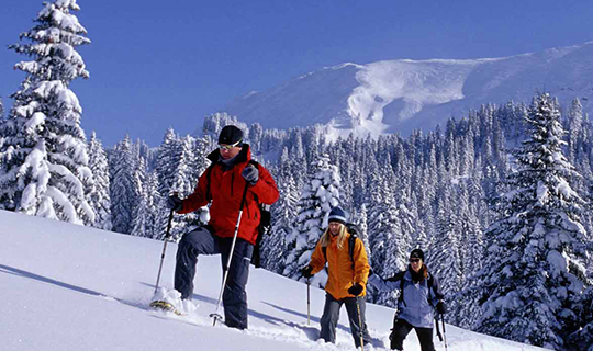 Gulmarg Skiing