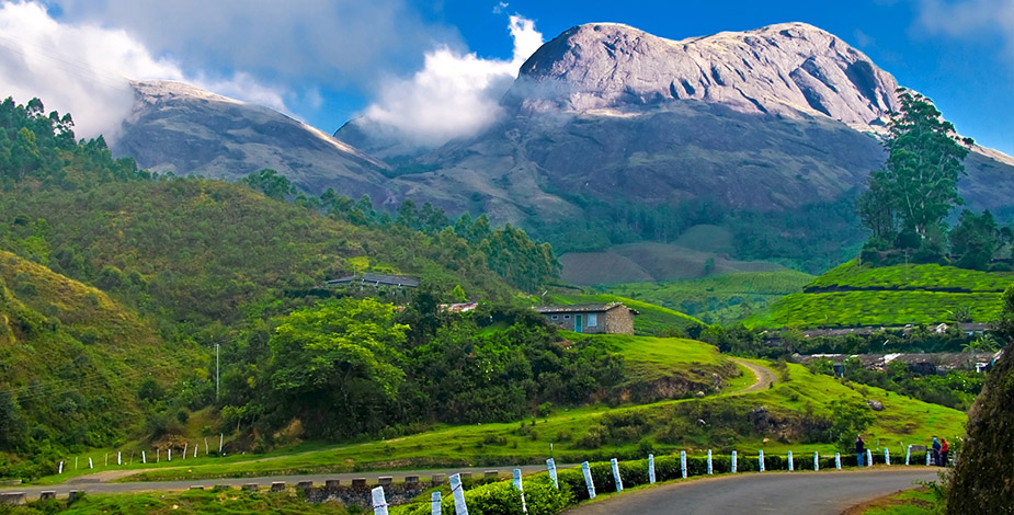 Anamudi, Munnar Hill