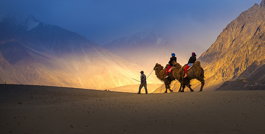 Ladakh Honeymoon