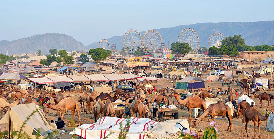 Pushkar Fair