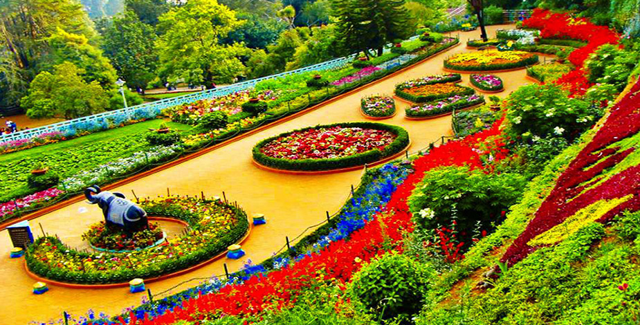 Botanical Garden, Ooty