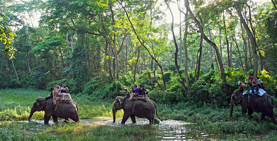 Chitwan National Park, Nepal