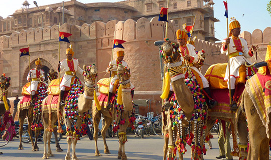 Camel Festival, Bikaner