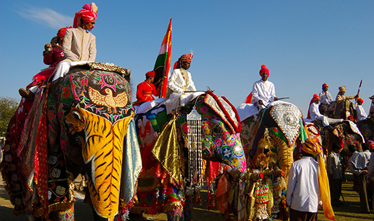 Elephant Festival