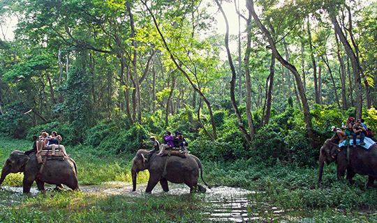 Chitwan National Park